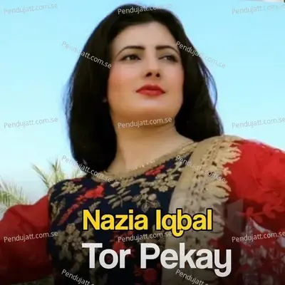 Cha Kari Khere Di - Nazia Iqbal album cover 