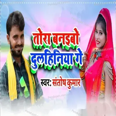 Tora Banaibo Dulhiniya Ge - Santosh Kumar album cover 