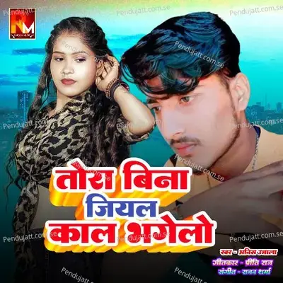 Tora Bina Jiyal Kal Bhagelo - Anish Ujala album cover 