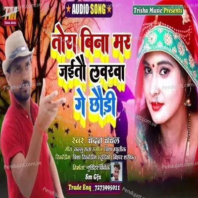 Tora Bina Mar Jaitau Loverwa Ge Chhaudi - Chandan Chanchal album cover 