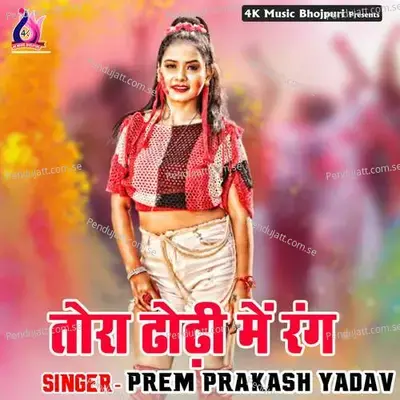 Tora Dhodi Me Rang - Anil Kumar cover album