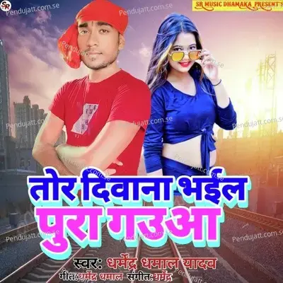 Tora Diwana Bhail Pura Gauwa - Dharmendra Dhamal Yadav album cover 