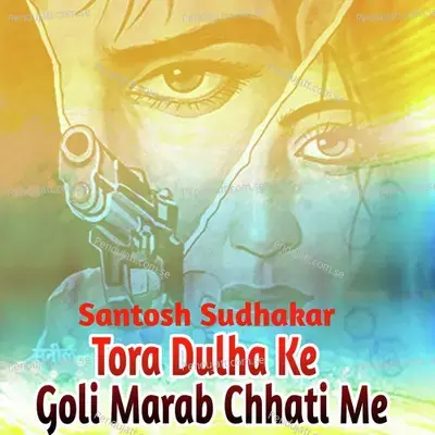 Tora Dulha Ke Goli Marab Chhati Me - Santosh Sudhakar album cover 