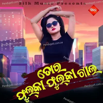 Tora Fulka Fulka Gala - Shakti Mishra album cover 