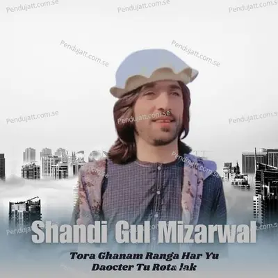 Tora Ghanam Ranga Har Yu Daocter Tu Rota Lak - Shandi Gul Mizarwal album cover 