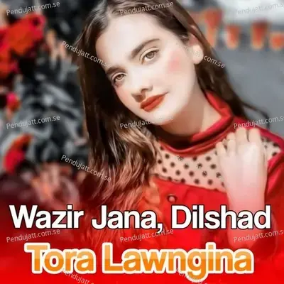 Mat Me Sho Bangari - Wazir Jana album cover 