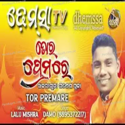 Tora Premare - Damo Hontal album cover 