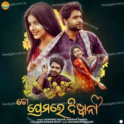 Tora Premare Diwana - Humane Sagar