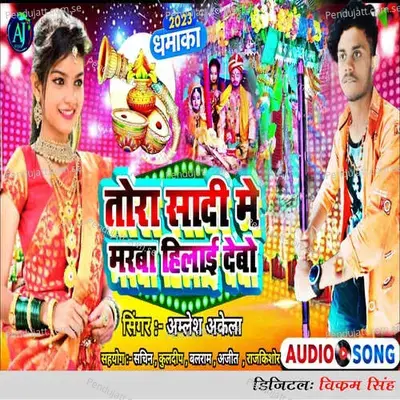 Tora Sadi Me Marba Hilai Debo - Amlesh Akela album cover 