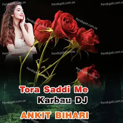 Tora Shadi Me Karbau Dj - Ankit Bihari album cover 