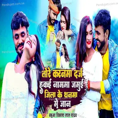 Tore Karnamaa Darj Hakee Namma Jamui Jila Ke Thaane Mein Jaan - Babua Vikash Lal Yadav album cover 