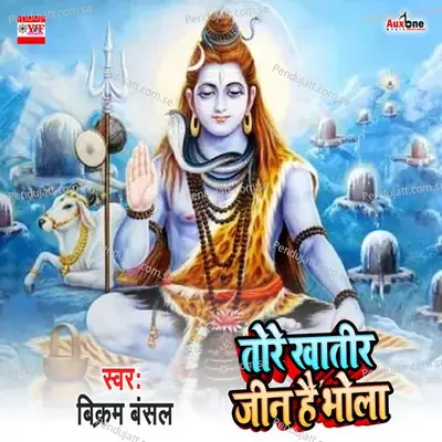 Tore Khatir Jin Hai Bhola - Bikram Basnat album cover 