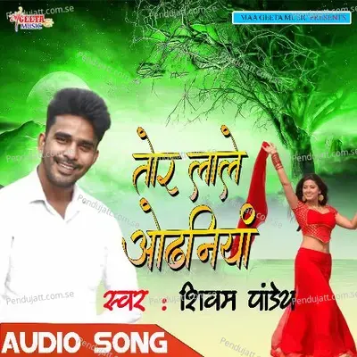 Mat Sajawe Etna Ae Gori - Shivam Pandey album cover 