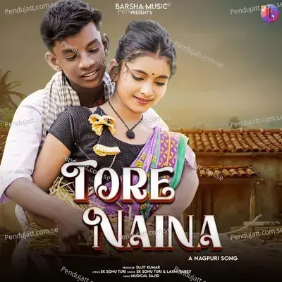 Tore Naina - SK Sonu Turi album cover 