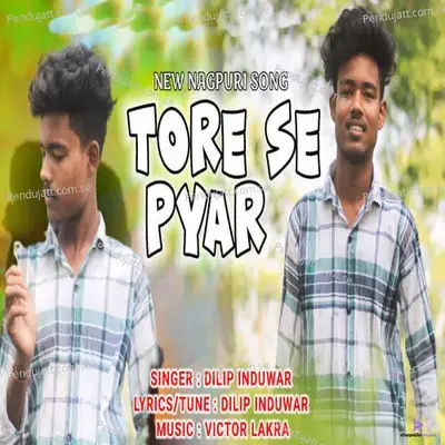 Tore Se Pyar - Dilip Induwar album cover 