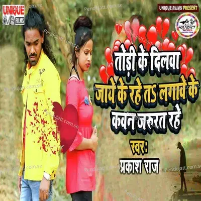 Tori Ke Dilwa Jaye Ke Rahe Ta Lagawe Ke Kawan Jarurat Rahe - Prakash Raj album cover 