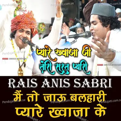 Tori Surat Pyari Pyare Khwaja Ji Garib Nawaz Qawwali - Rais Anis Sabri album cover 