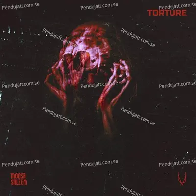 Torture - Moosa Saleem album cover 