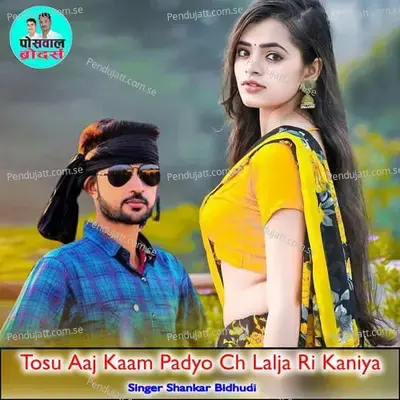 Tosu Aaj Kaam Padyo Ch Lalja Ri Kaniya - Shankar Bidhudi