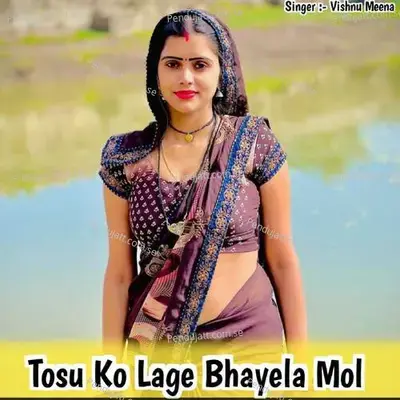 Tosu Ko Lage Bhayela Mol - Vishnu Meena album cover 