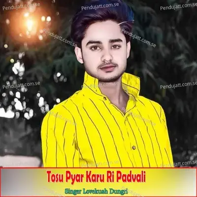 Tosu Pyar Karu Ri Padvali - Lovekush Dungri album cover 