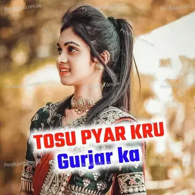 Tosu Pyar Kru Gurjar Ka - Vivek-Mervin album cover 