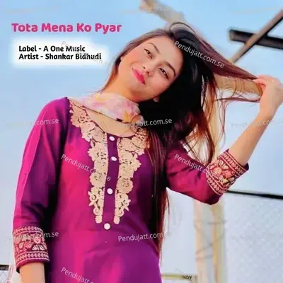 Tota Mena Ko Pyar - Shankar Bidhudi album cover 