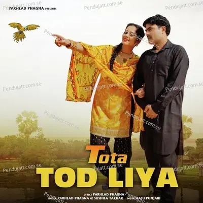 Tota Tod Liya - Parhlad Phagna album cover 