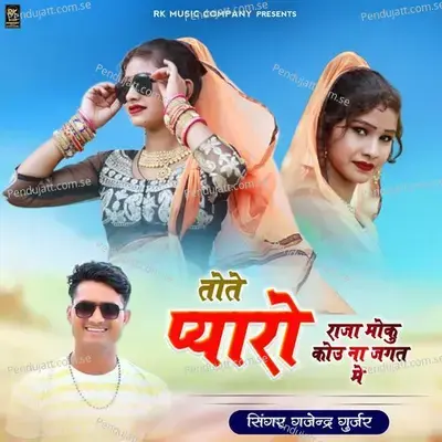 Tote Pyaro Raja Moku Kou Na Jagat Me - Gajendra Gurjar
