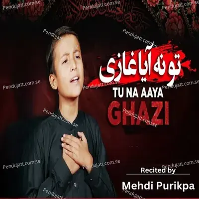 Tou Na Aya Ghazi - SRS Production album cover 