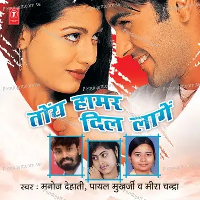 Toy Haamar Dil Laage - Manoj Dehati album cover 