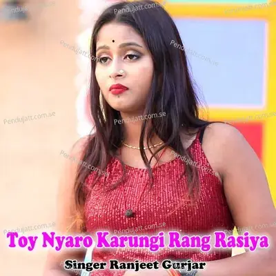 Toy Nyaro Karungi Rang Rasiya - Ranjeet Gurjar album cover 