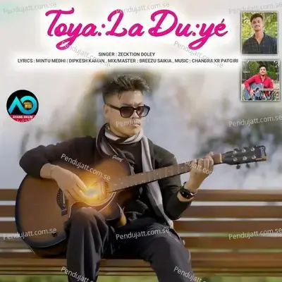 Toyala Duye - Zecktion Doley album cover 