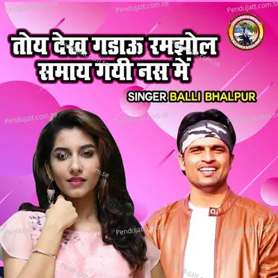 Toye Dekh Gadau Ramjhol Samaye Gayi Nas Main - Balli Bhalpur album cover 