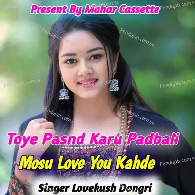 Toye Pasnd Karu Padbali Mosu Love You Kahde - Lovekush Dungri album cover 