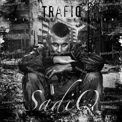 Outro - 1 - Sadiq album cover 