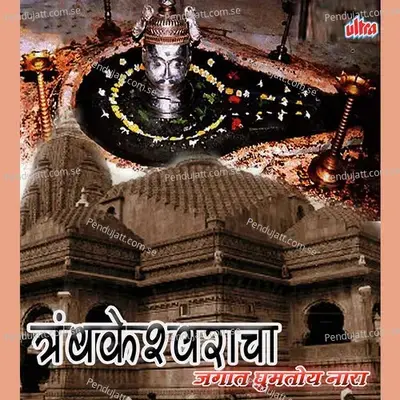 Trambakeshwarachi Pahat Hote Vaat - Bharati Madhavi album cover 