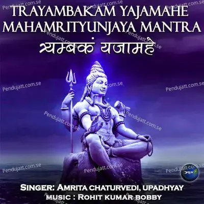 Trayambakam Yajamahe-Mahamrityunjay Mantra - Amrita Chaturvedi album cover 