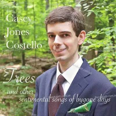 At Dawning - Casey Jones Costello album cover 