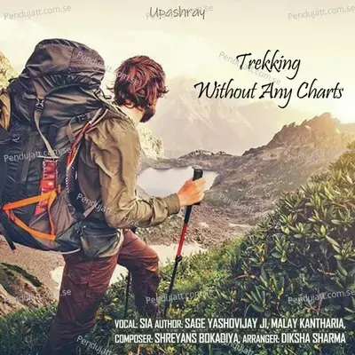 Trekking Without Any Charts - Sia album cover 
