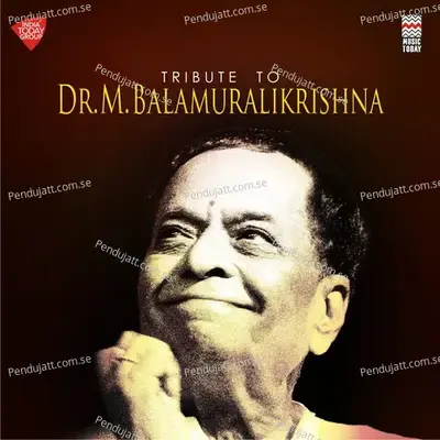 Vegamay - Abhogi - Adi - M. Balamuralikrishna album cover 