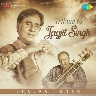 Instrumental Medley - Shujaat Husain Khan - Shujaat Khan album cover 