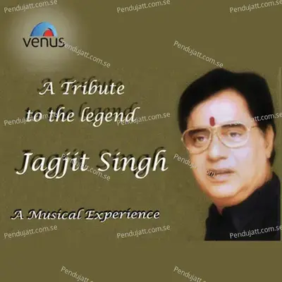 Hum Dosti Ehsan Wafaa - Jagjit Singh album cover 