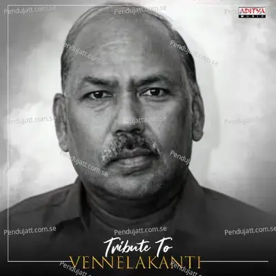 Neelala Kannulu - S.P. Balasubrahmanyam album cover 