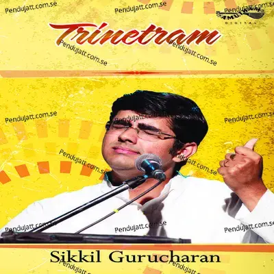 Natarajar Patthu Navasiddhi - Sikkil Gurucharan album cover 