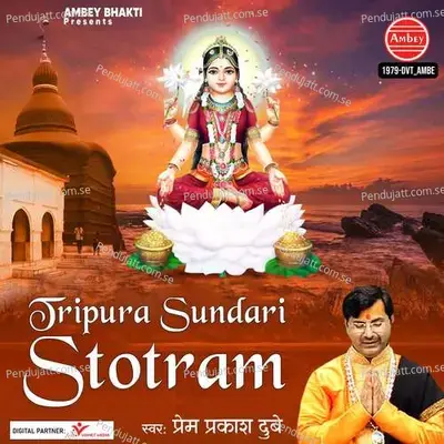 Tripura Sundari Stotram - Prem Prakash Dubey album cover 