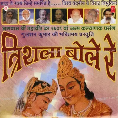 Prabhu Mahaveer Tere - Satish Dehra album cover 