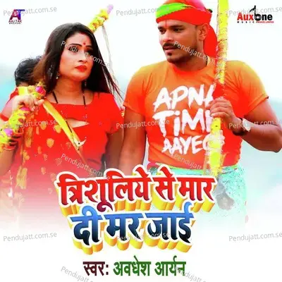 Trishuliye Se Mar Di Mar Jai - Awdhesh Aryan album cover 