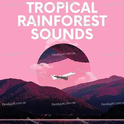 Tropical Rainforest Sounds - Lakhan Hire album cover 