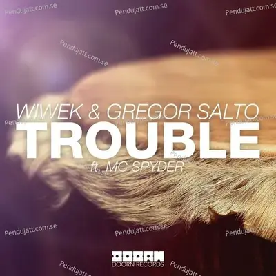 Trouble - Wiwek album cover 